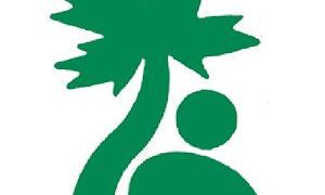 BirdRockTropicals(BR)12月4日入荷分 | フラワーケンズ西宮店 BirdRockTropicals(BR)12月4日入荷分 | フラワーケンズ西宮店