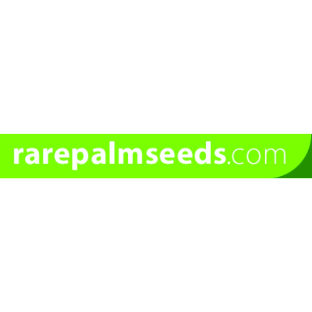 rarepalmseeds1月16日(R41)入荷分 | フラワーケンズ西宮店(plants-planet)